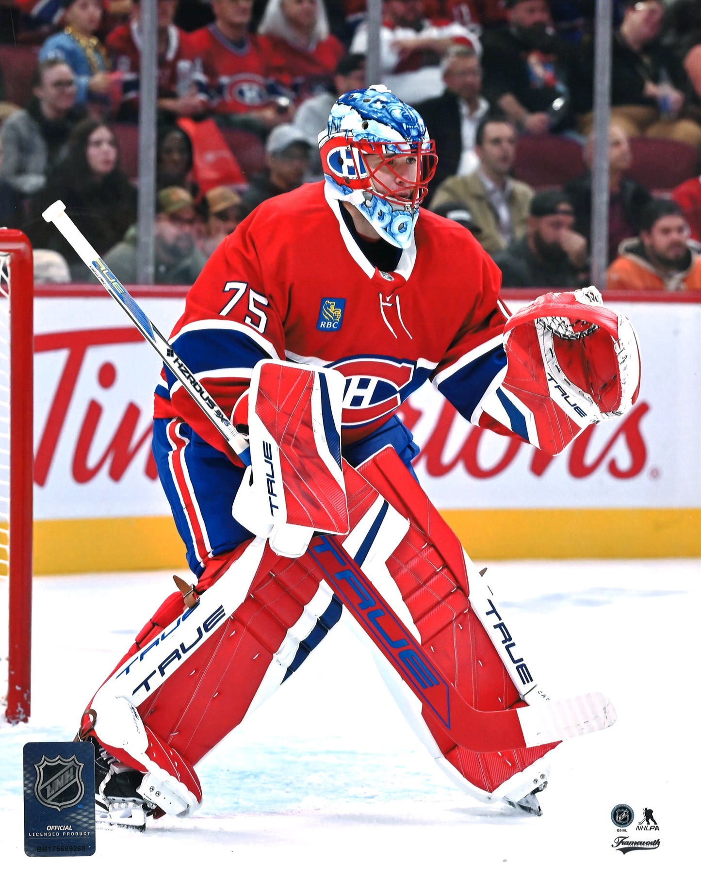 Jakub Dobes 8x10 unsigned Montreal Canadiens