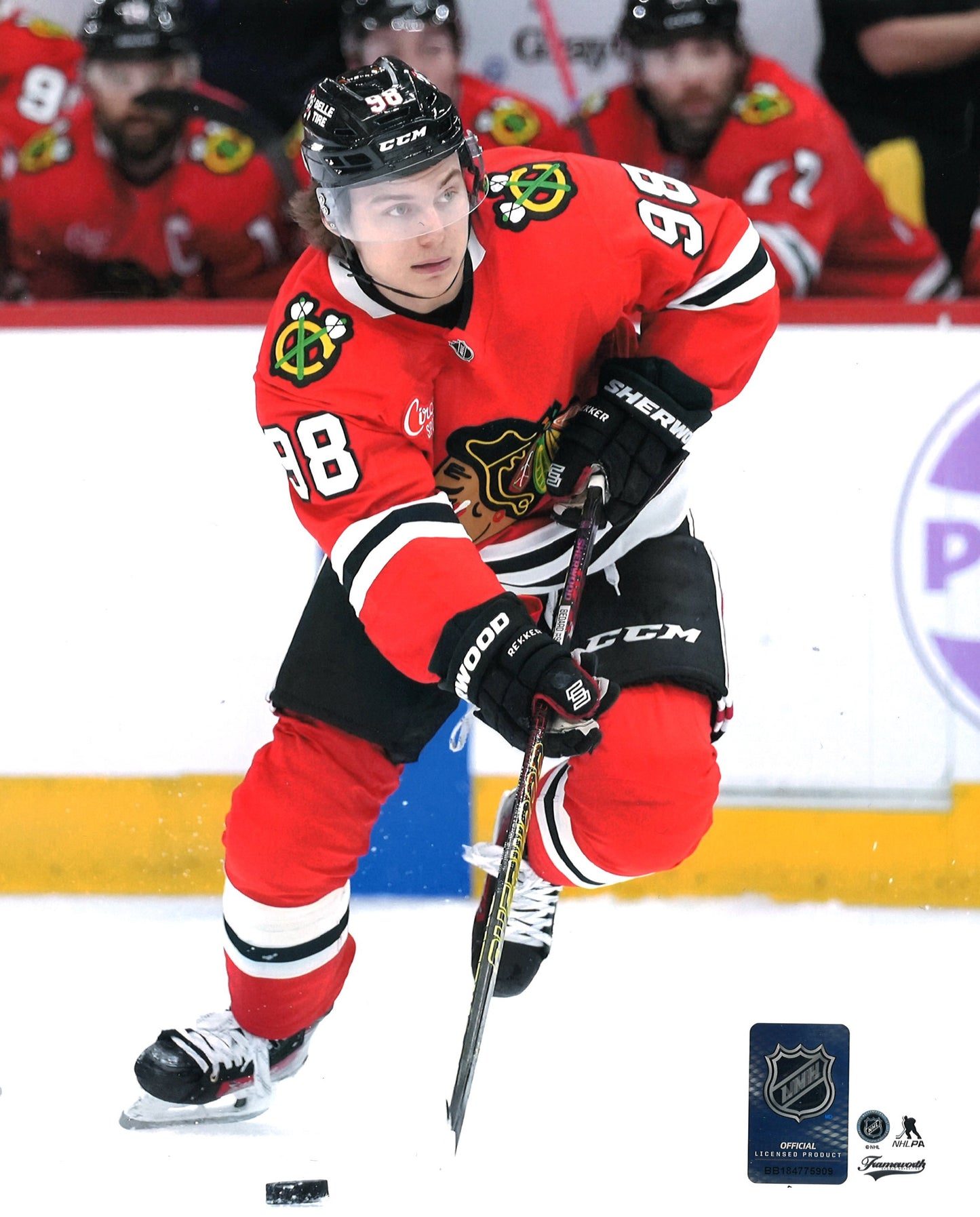 Connor Bedard 8x10 unsigned Chicago Blackhawks
