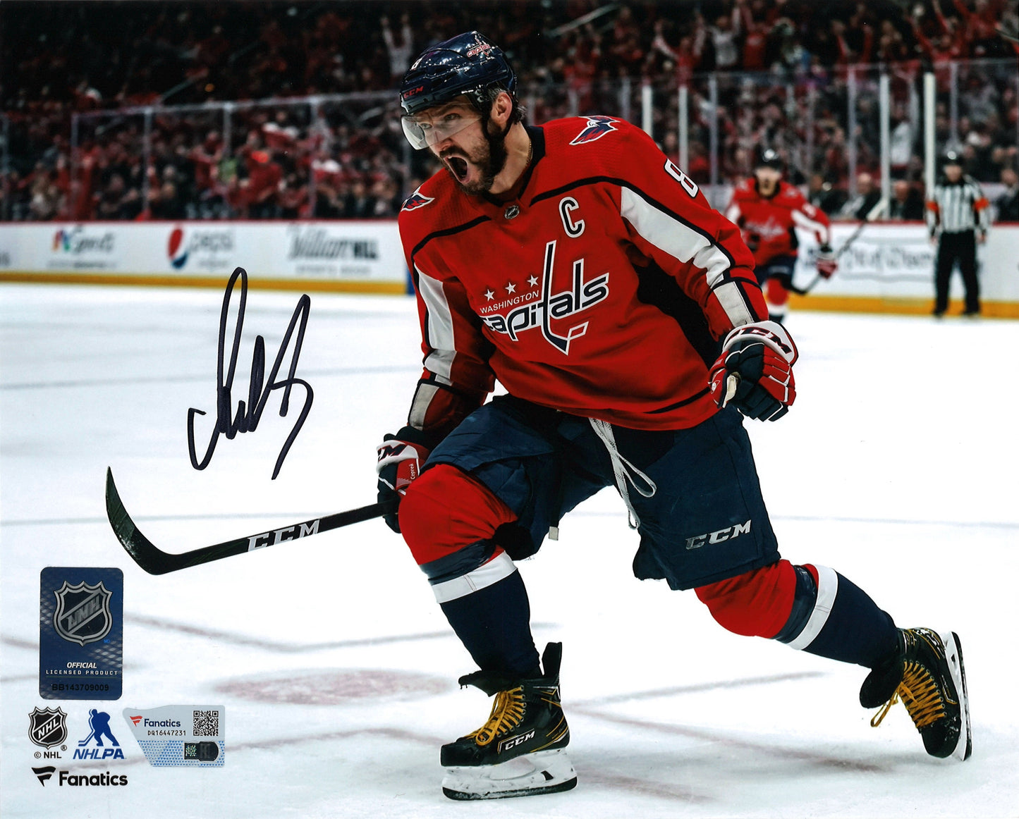 Alexander Ovechkin photo 8x10 autographiée Capitals de Washington